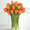 Brighten someone's day with fifteen fresh cut orange tulips delivered by overnight