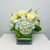 Enjoy the seaside vibes of Cape Cod with this arrangement consisting of