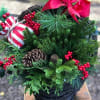 Evergreen Basket &ndash; Fresh Holiday Arrangement in Wilmington, Delaware

Bring the natural beauty