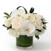 A simple and elegant arrangement of white hydrangea, white roses and phalaenopsis