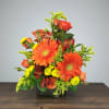 Bright, uplifting, and full of joy! This arrangement is the perfect way