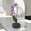 A high quality Single pink orchid flower with a vase 8.5&quot; D
