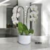 A high quality Double white orchid arrangement with a vase 8.5&quot; D