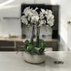 A high quality Five white orchid arrangement with a vase 12.5&quot; D