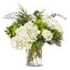Ivory roses, white hydrangea, green berries, green button poms, and seasonal greenery