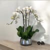 A high quality Five white orchid arrangement with a vase 9&quot; D