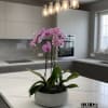 A high quality Triple pink orchid arrangement with a vase 8.5&quot; D