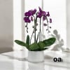 A high quality Triple purple orchid arrangement with a vase 8.5&quot; D