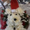 VERY CUTE CARNATION DOGGIE WITH SANTA HAT , RED CARNATIONS, BABIES BREATH