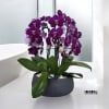 A high quality Five purple orchid arrangement with a vase 12.5&quot; D