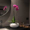 A high quality Single Purple orchid arrangement with a vase 7&quot; D
