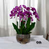 A high quality Seven purple flower orchid arrangement with a vase 12"