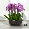 A high quality Eight pink flower orchid arrangement with a vase 14&quot;
