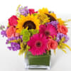 Bright and sunny sunflowers are arranged with coral roses and bright gerbera