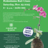 Join Us for a Fun &amp; Informative Kokedama Class! 
Discover the Japanese
