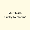 Lucky To Bloom
