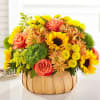 Bask in the glow of autumn with the Harvest Sunshine Basket, a