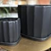 Modern style square, ceramic planter in black with built in saucer. 

