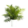Realistic looking artificial fern plant in a white ceramic container.