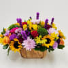 Sunshine in a basket! This cheerful arrangement bursts with personality, featuring bold