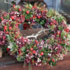 holiday real flowers with greenary.
Perfect for your front door and indoor holiday