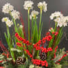 Holiday arrangement with Paperwhite plant with festive berries, sticks and pinecones 