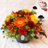 This beautiful arrangement reflects the beauty of the morning light. Bursting forth