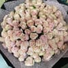 Wrapped  Bouquet Made with 100 pink blush roses  it&rsquo;s a