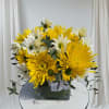 Delightful mix of white and yellow daisies accented with gunni eucalyptus in