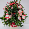 Cut boxwood branches arranged in a ceramic pot w/ reindeer. Adorned with