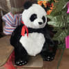 Sweet Panda Bear - Medium large  Sized