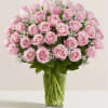 All-around arrangement with 24, 36 or 48 long stem pink roses; accented