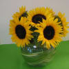 Sunflowers, Fancy Greens  in a Bubble Bowl.

Note:   There are