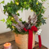 English ivy hoop with fairy lights designed in a basket with pine