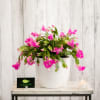 Celebrate in a bright way!  A white ceramic container highlights the