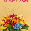 A stunning display of premium, exquisite bright seasonal blooms.