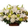 Premiun mix hydrangea, roses, stock and Snapdragon. 