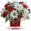 Sending this beautiful gift is sure to delight! Stunning red carnations and