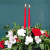 A classic holiday centerpiece to warm your table this holiday season. Red