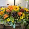 A beautiful autumn assortment of premium flowers 
Flowers include 
Hydrangea,Roses,Gerber Daiseys 
And
