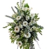 Daisy gerbera, stock, snapdrogan, alstromeria and eucalyptu. (Picture shown Standard)