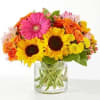 Brightness in a robust collection of seasonal flowers. 
