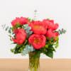 Everyone&#039;s favorite! Coral charm peonies are adored by many. Their beautiful color