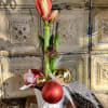 An amaryllis plant with bleached umbrella fern and assorted Christmas ornaments.