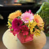 A glass cube filled with Minnesota grown alstroemeria and Gerbera daisies.

Please note:
