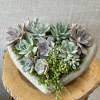 This sweet mixed succulent garden in a concrete heart is roughly a