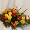 We present this autumn season cornucopia in a range of different colors.