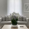 A high quality Eight white flower orchids arrangement with a vase 14"