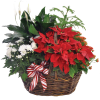 This wicker basket is the perfect gift for a plant lover! This