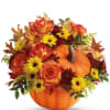 Add a beautiful touch to your fall activities with this joyful, magnificent